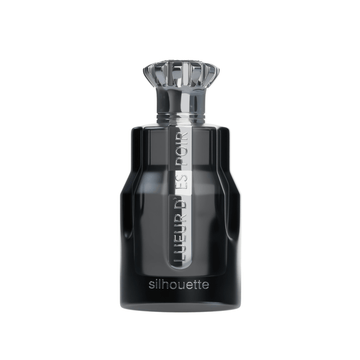 Parijs hoek Lueur D'Espoir silhouet